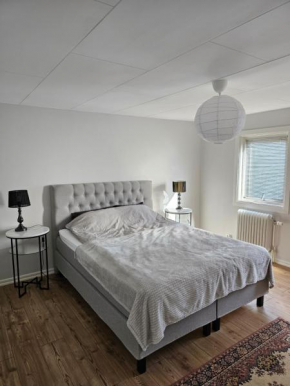 Villa Sandgatan, Falkenberg